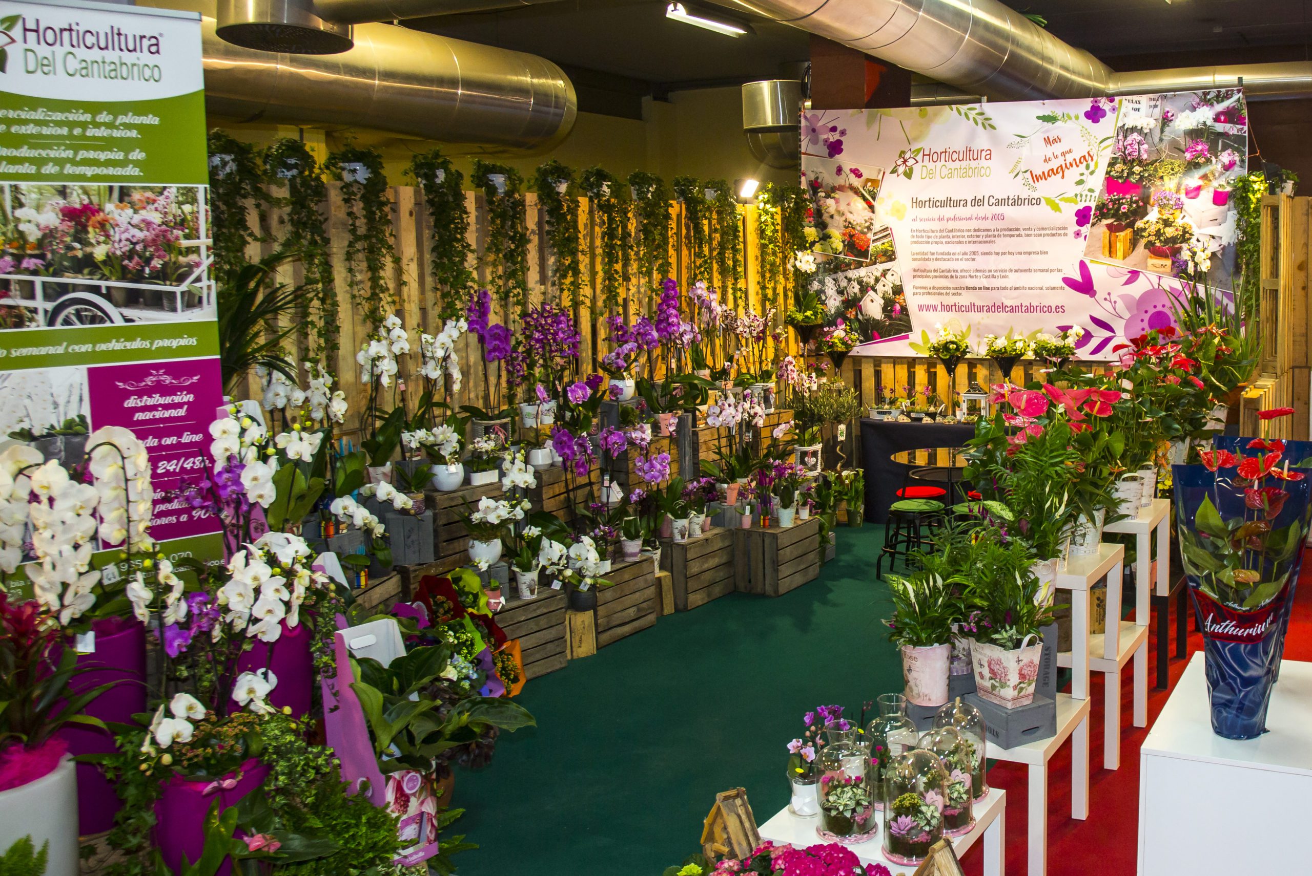 Stand Horticultura del Cantábrico