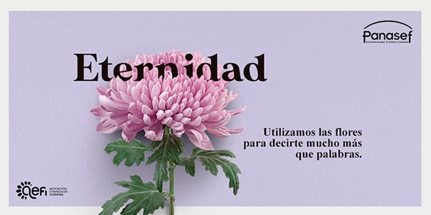 crisantemo_campaña-del-dia-de-los-difuntos