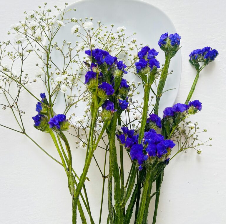 pexels-deeanacreates-16538818