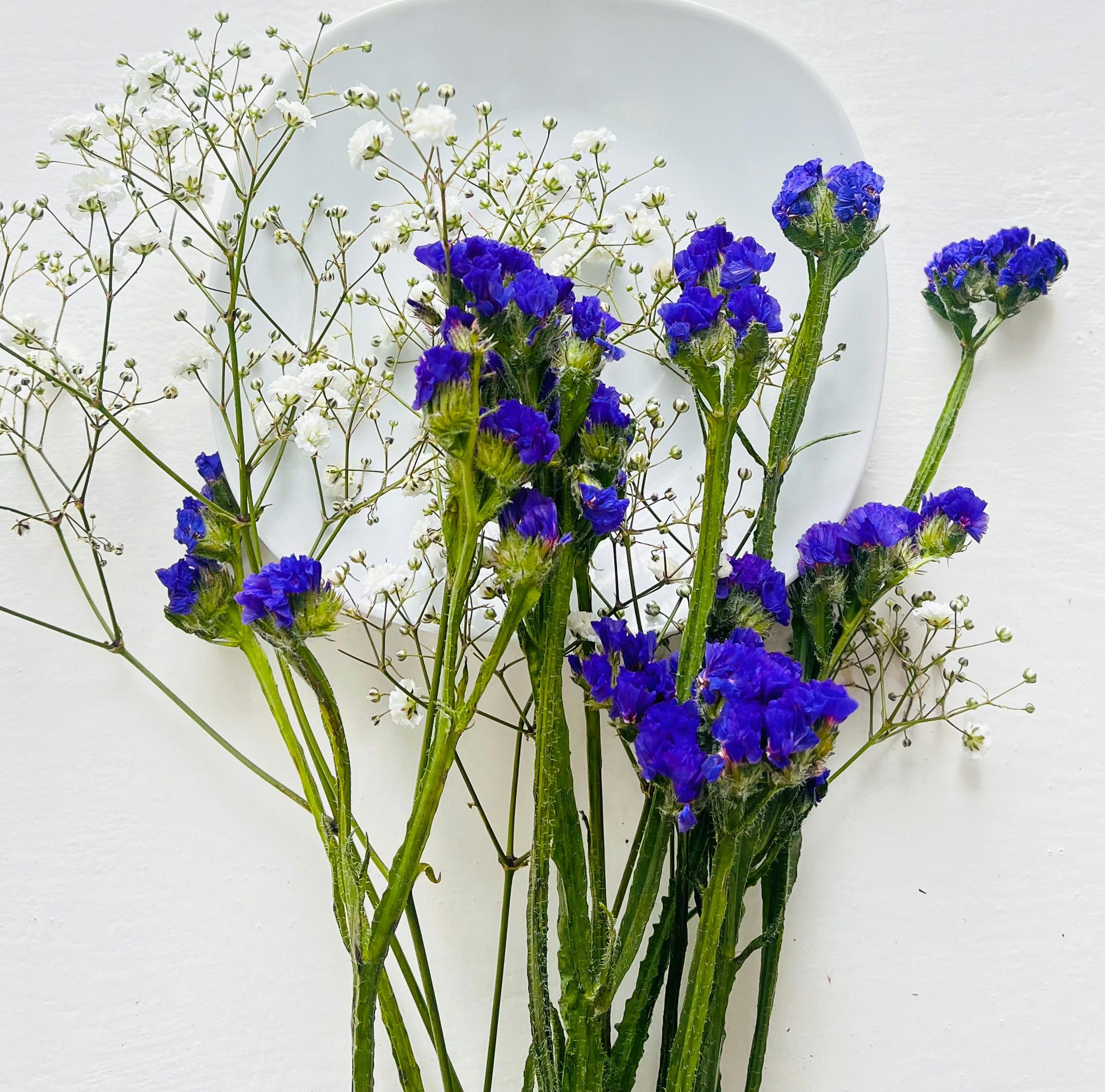 pexels-deeanacreates-16538818