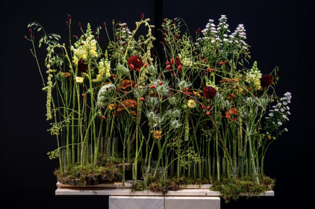 Víctor Álvarez Europskills AEFI