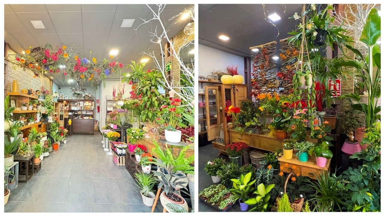 Traspaso floristería Allium