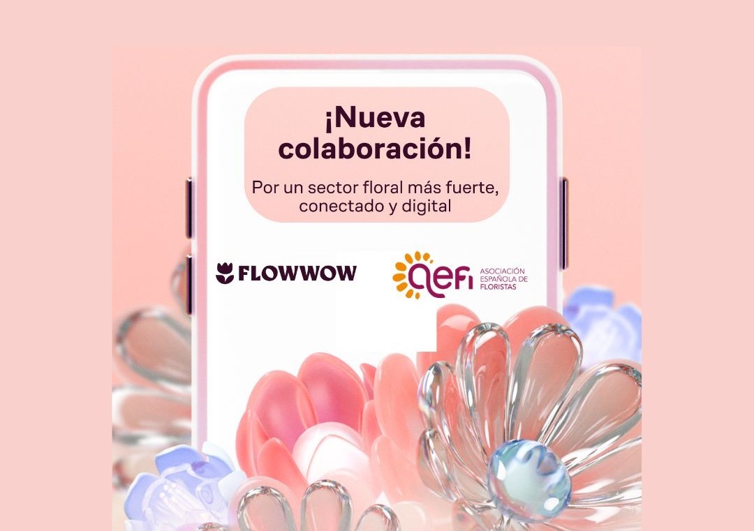 Promoción Asociados Seeplus Nov 25 - 2