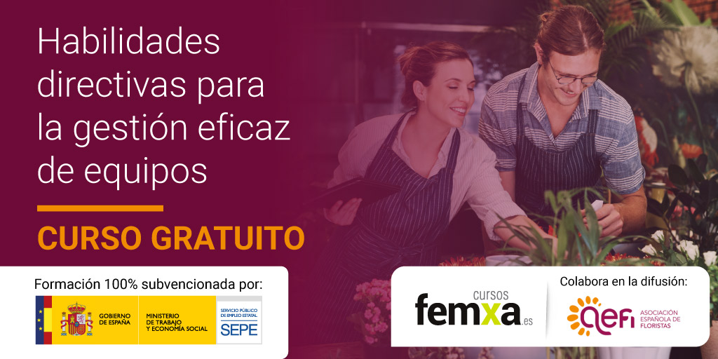 X-AEFI-habilidades-directivas