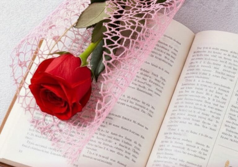 Post Instagram San Jordi - 1