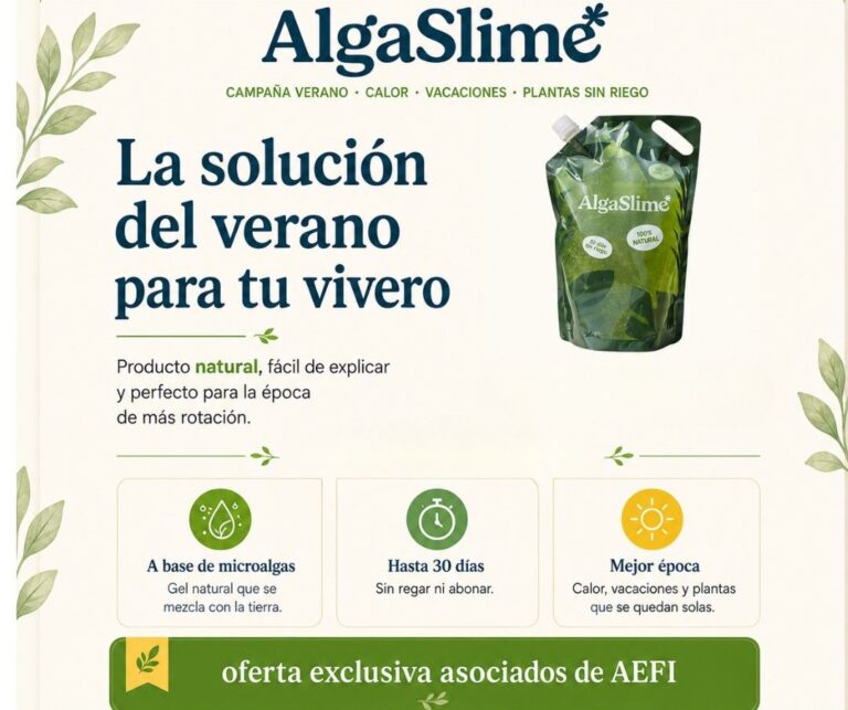 Acciones Cam 2026 - 17