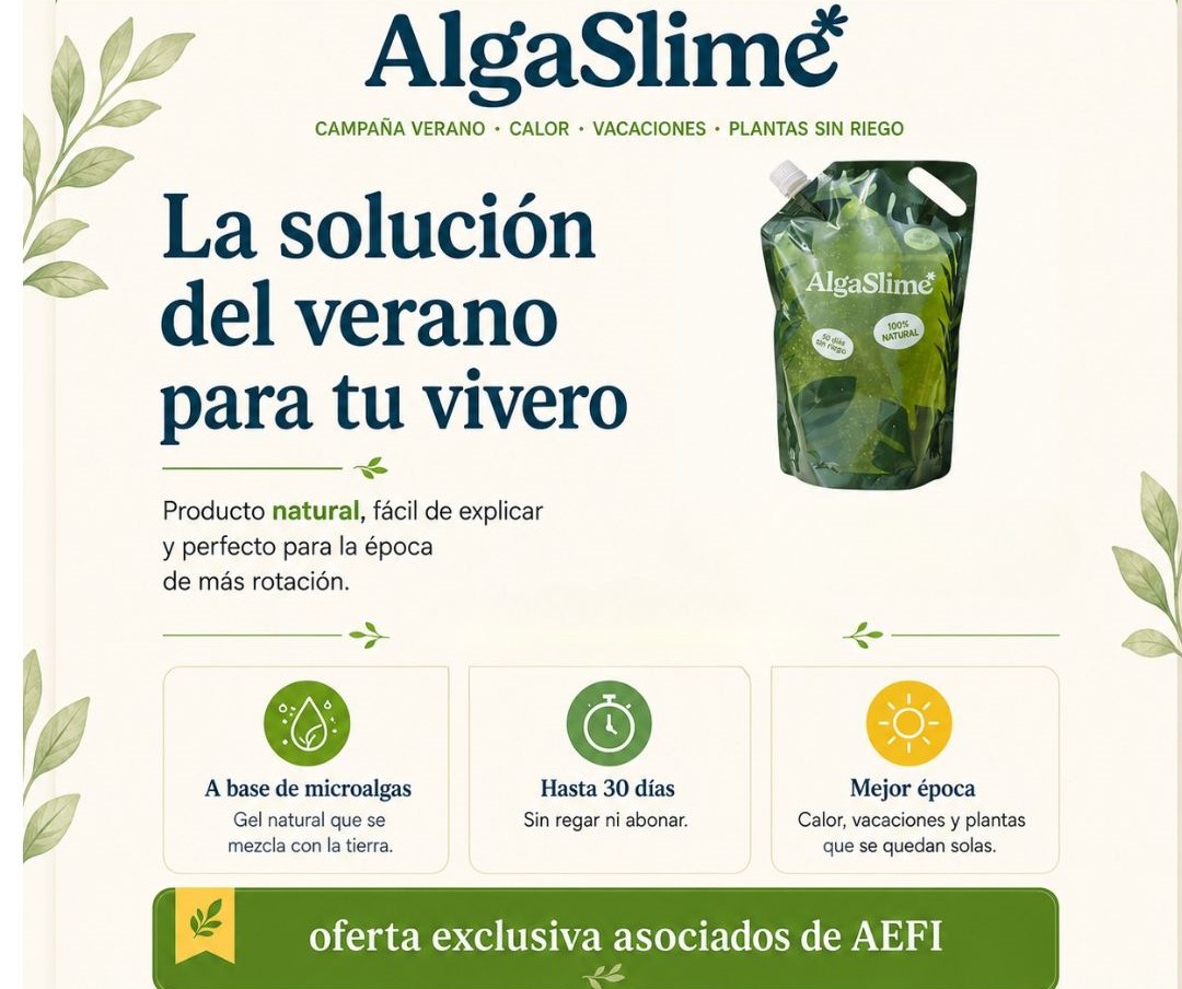 Acciones Cam 2026 - 17