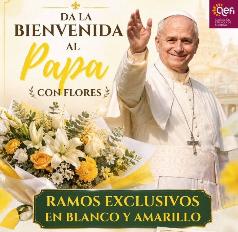 Visita del Papa (1)