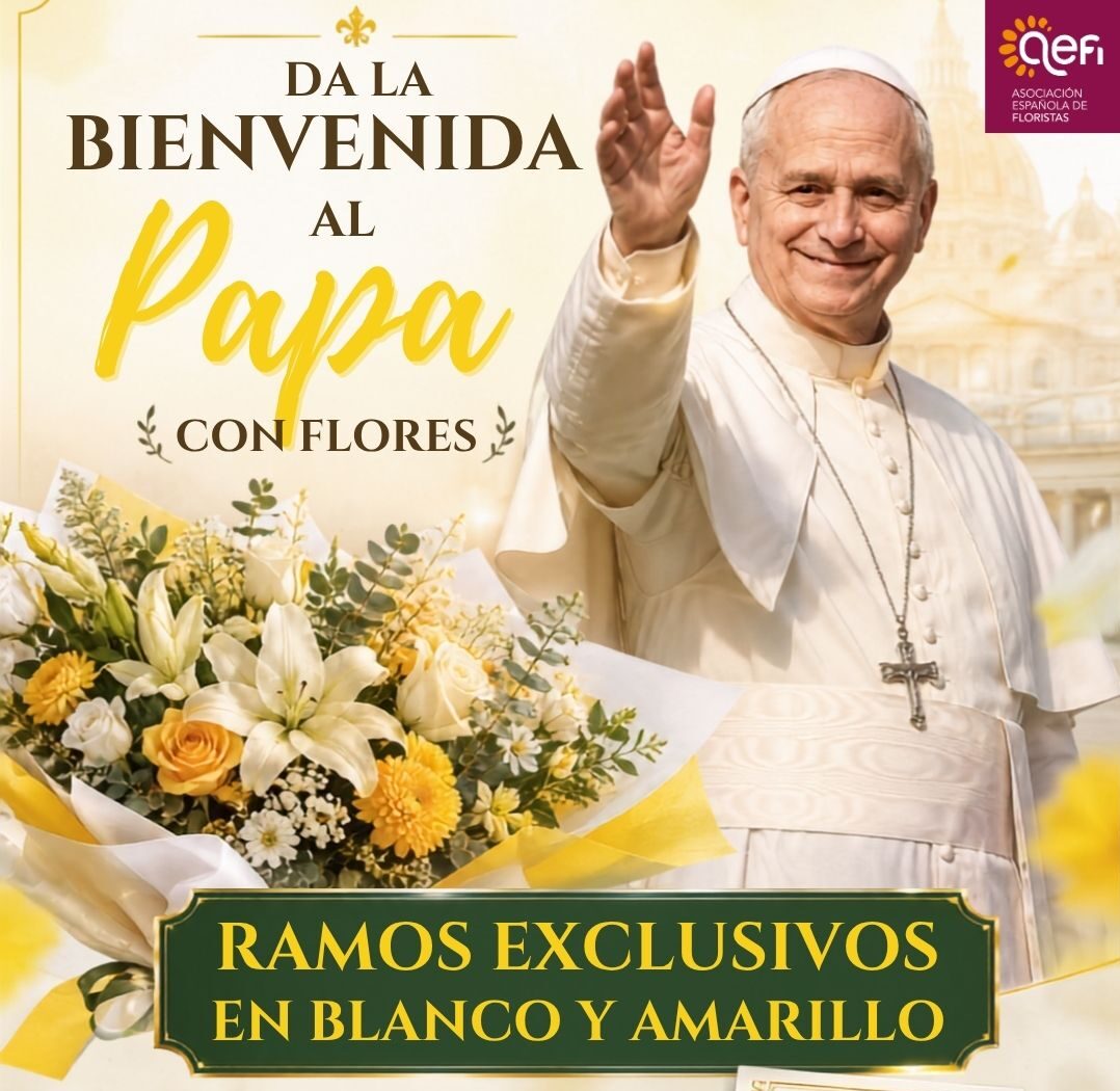 Visita del Papa (1)