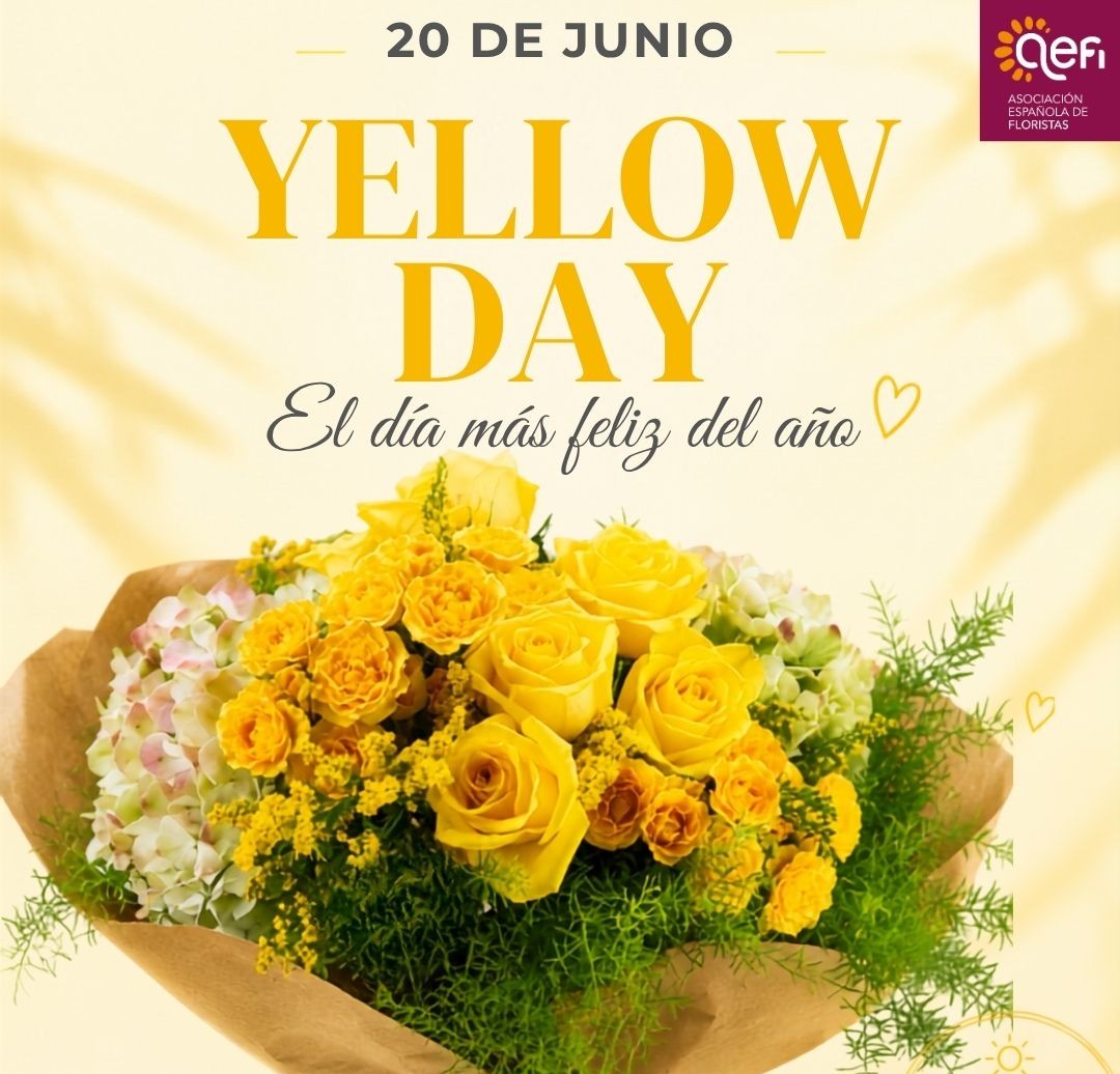 Yelow Day