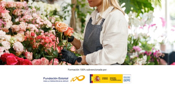 Imagen1