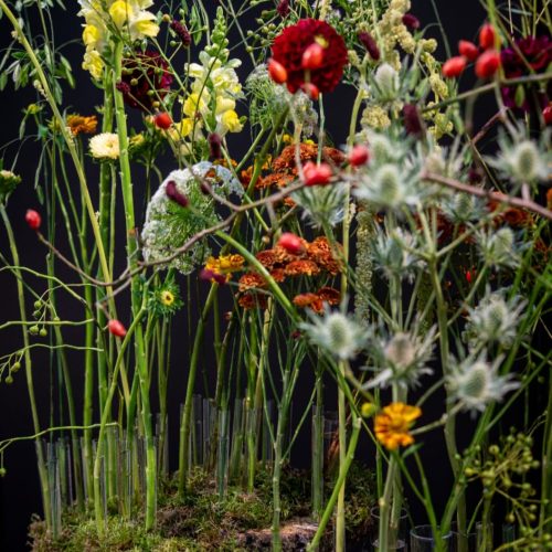 Víctor Álvarez Europskills AEFI