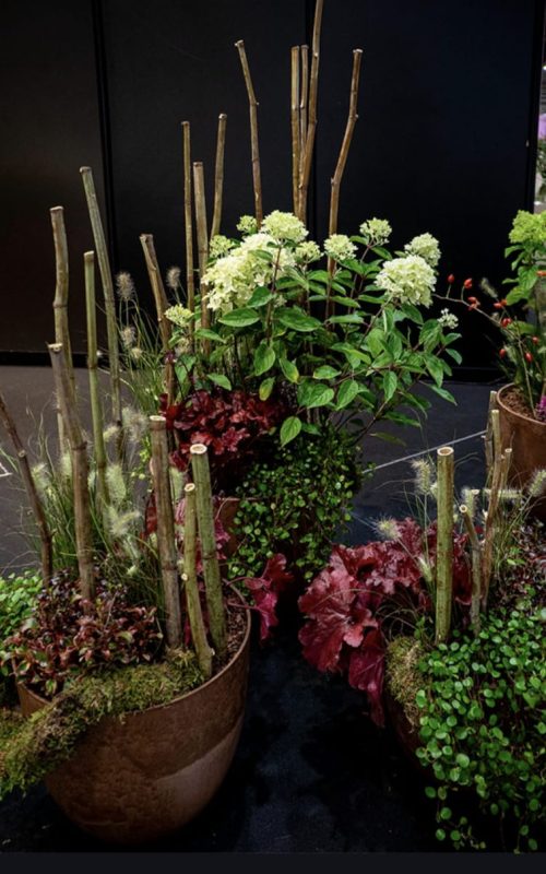 Víctor Álvarez Europskills AEFI