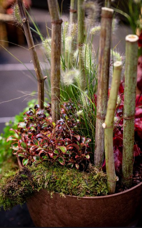 Víctor Álvarez Europskills AEFI