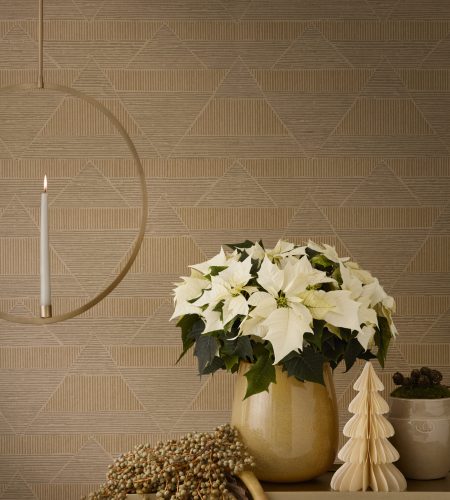 *Imagen Stars for Europe