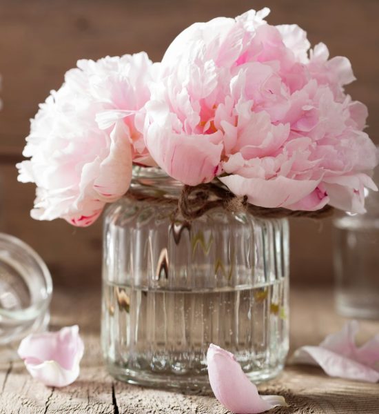 Acciones Cam 2025 (2)