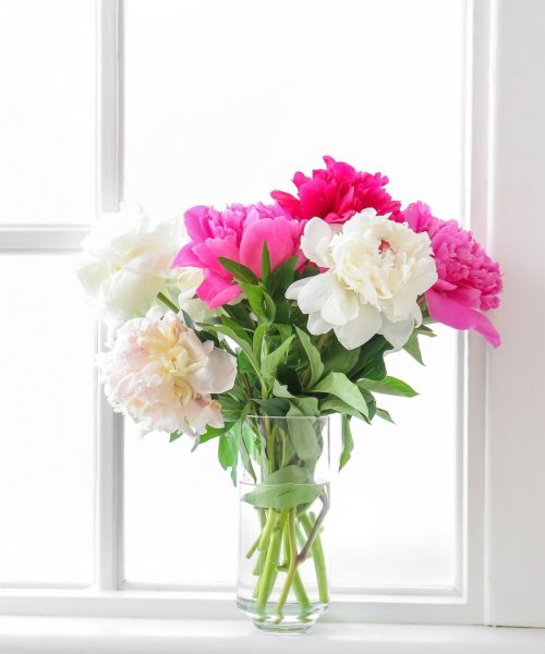 Acciones Cam 2025 (3)