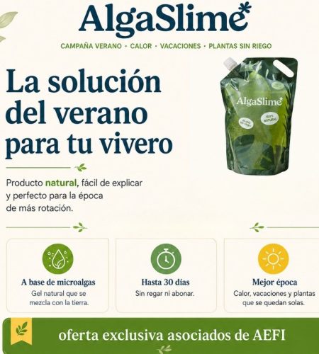 Acciones Cam 2026 - 17