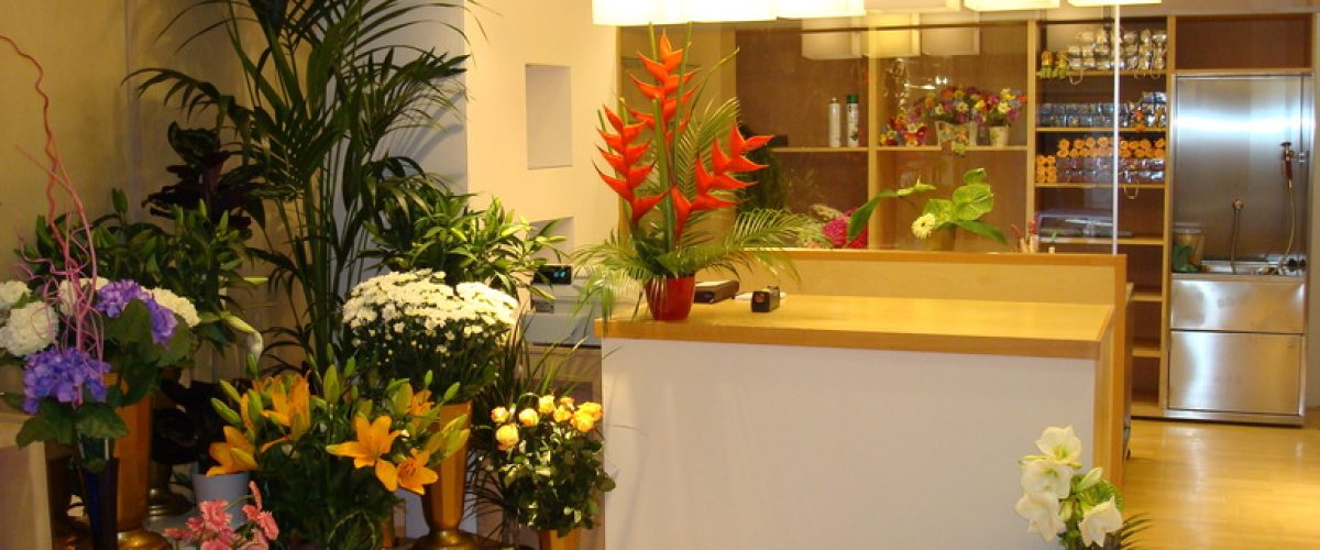 DSC08401