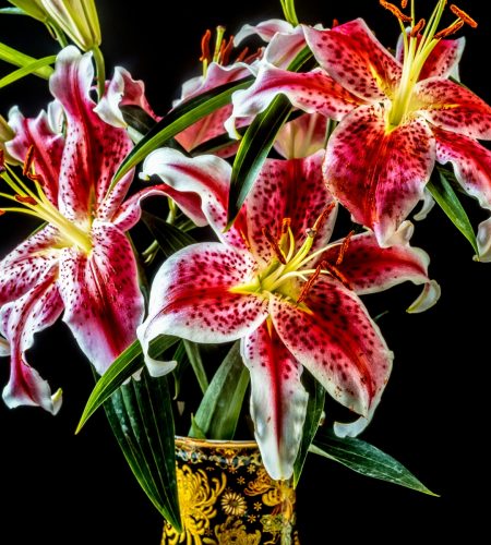 Flor-de-ABRIL-2026-3
