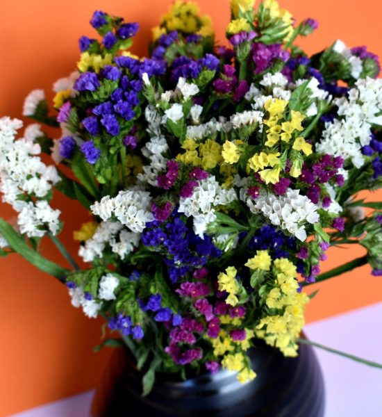 Flor de septiembre- statice