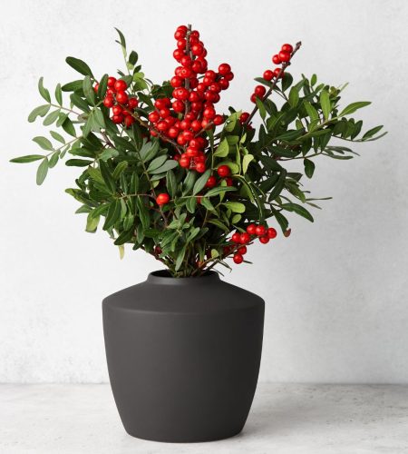 Flor de Diciembre Personalizable (3)