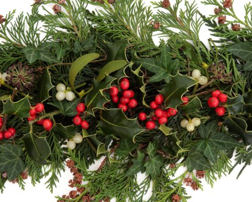 Flor de Diciembre Personalizable (7)