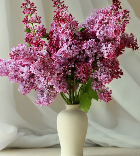 Flor de Febrero 2026 (3)