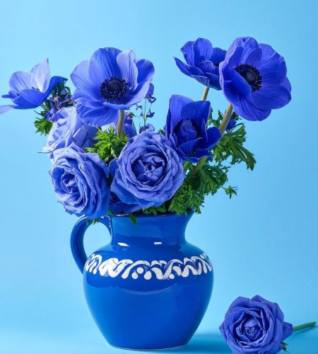 Flor de marzo 2026 (3)