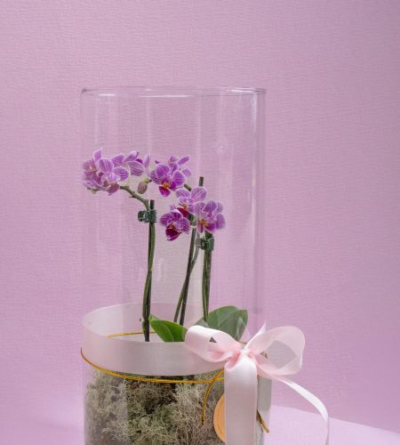 dia-de-las-flores-moradas